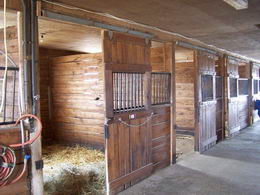 100 Acre, Equestrian, Bradford/West Gwillimbury - Country homes for sale and luxury real estate including horse farms and property in the Caledon and King City areas near Toronto